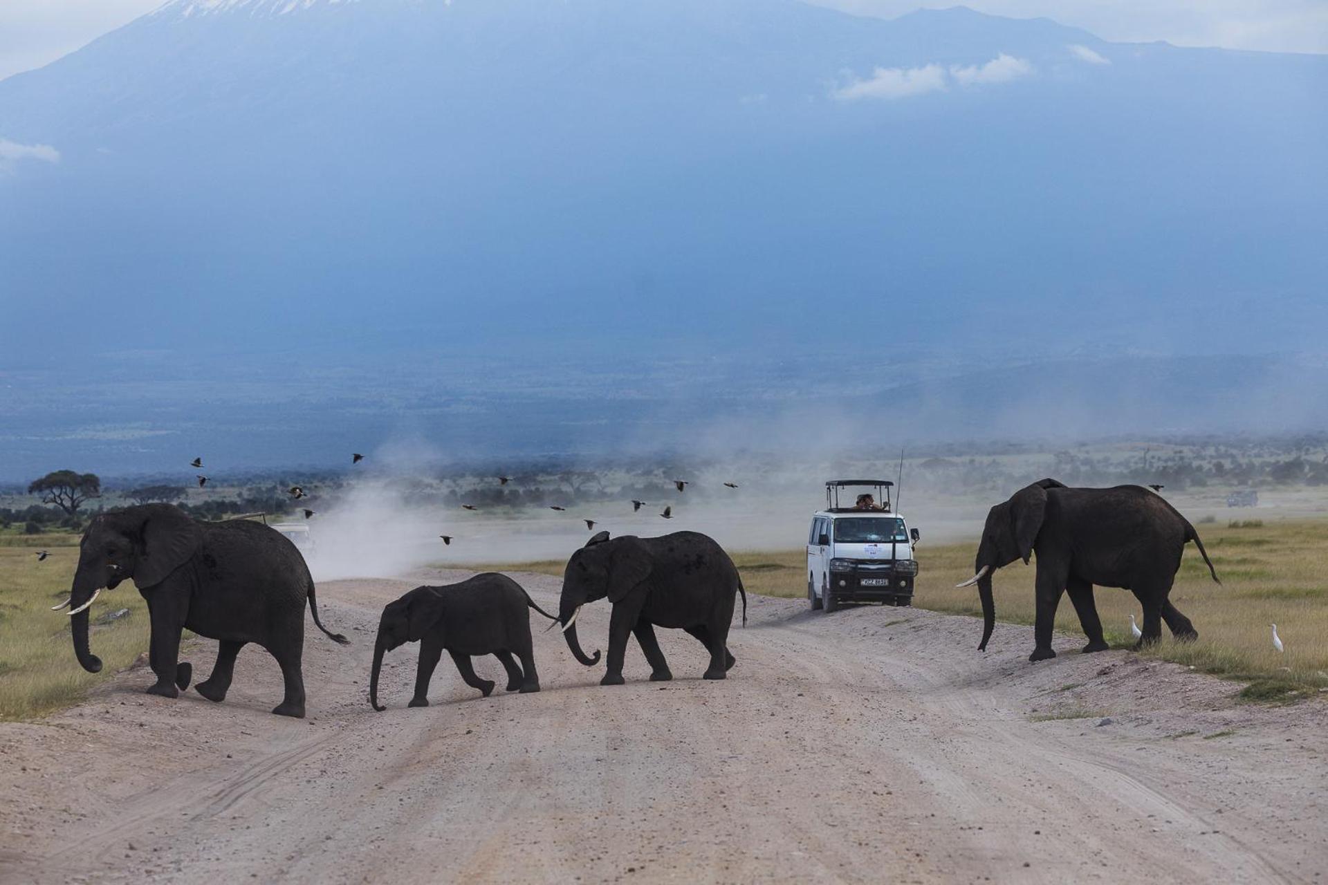 Kilimanjaro View Cabin-Amboseli Oloitokitok Værelse billede