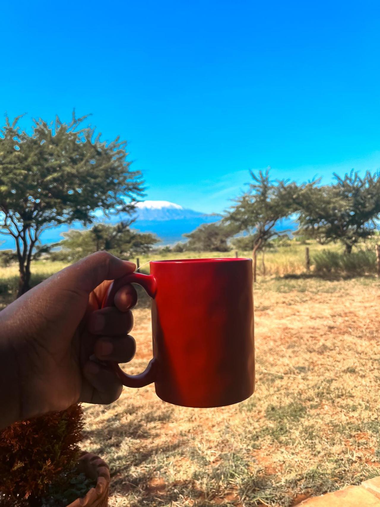 Kilimanjaro View Cabin-Amboseli Oloitokitok Værelse billede